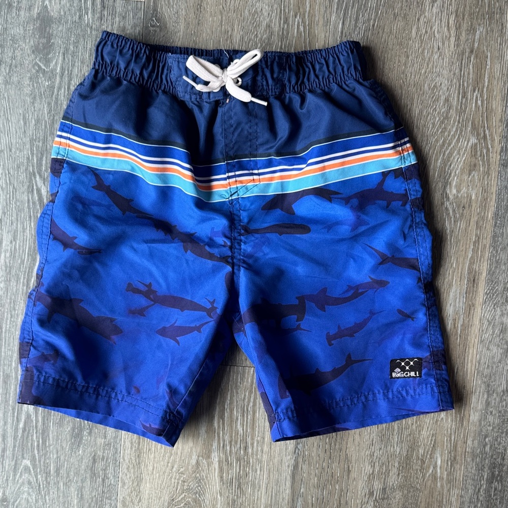 Big Chill Blue Shark Stripe Boys' Swim Trunks